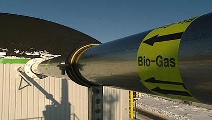 A biogas pipe leading to a digester